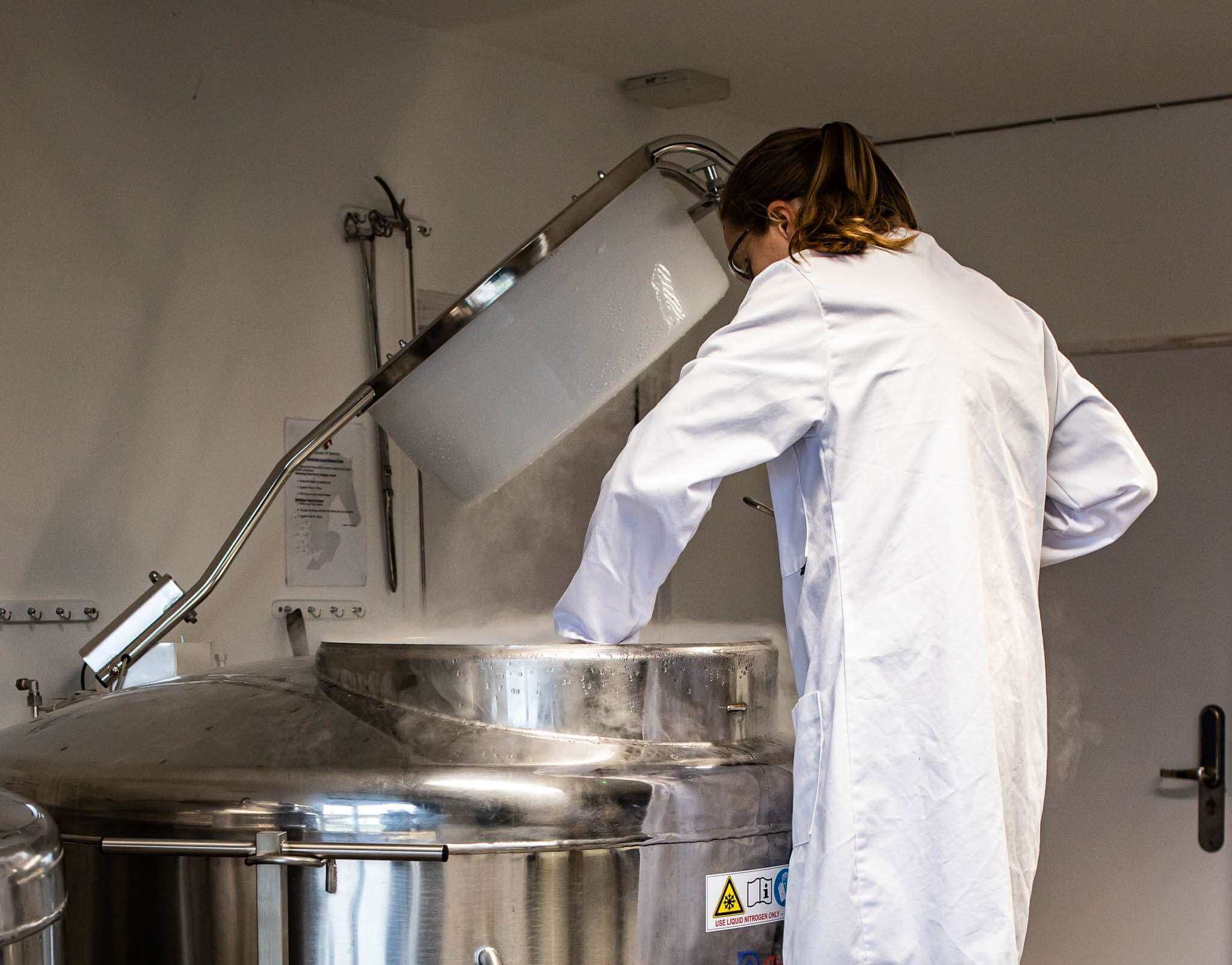 SEMEN FLUID PRODUCTION STORAGE COMPOSITION visual data 7